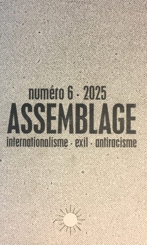 ASSEMBLAGE N°6